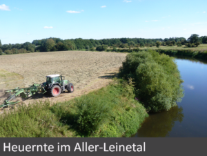 9-heuernte-im-aller-leinetal