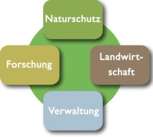 bild_homepage_allergruen123