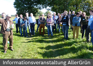 allergruen