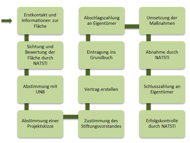 nsm_schema