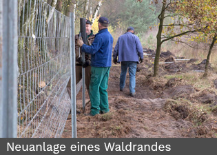 waldmassnahmen2