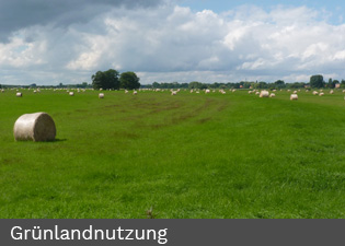 landwirtschaft