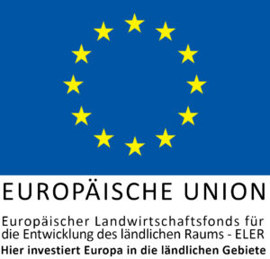 EU Logo