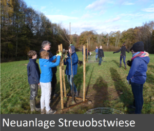 neuanlage_streuobstwiese_end