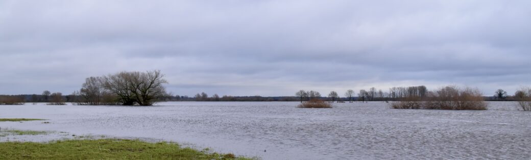 Aller bei Hochwasser